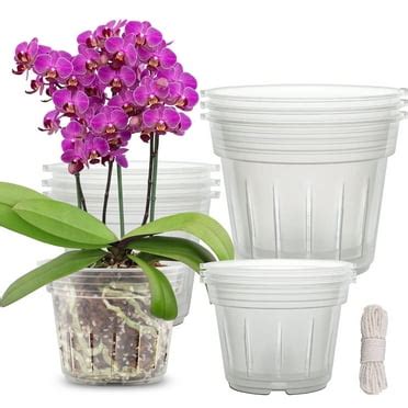 orchid pots near me|Fabulas Orchid Pot, 8 Clear Orchid Pots with Holes and 6 Saucers, 2.